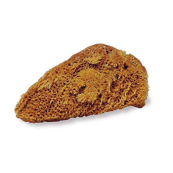 Jacks Natural Tack Sponge 10313